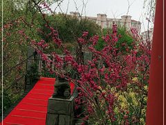 -南汇桃花村
