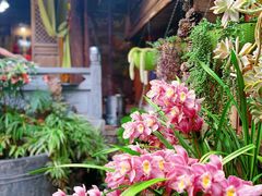 -龙姐私房菜(和顺古镇店)