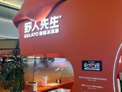 -野人先生现做冰淇淋(北京王府井东方新天地店)