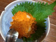 -鸟亭·居酒屋(青年路店)