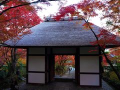 -常寂光寺