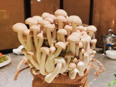 -ONE FULL 古董港式海鲜火锅