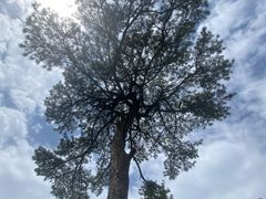 -秦岭终南山世界地质公园翠华山景区