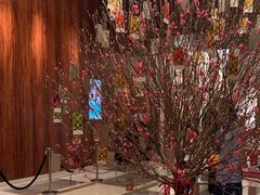 -香港尖沙咀凯悦酒店