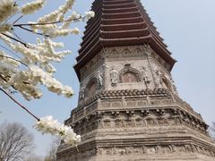 -玲珑塔公园
