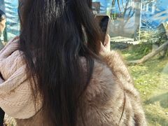 -青藏高原野生动物园