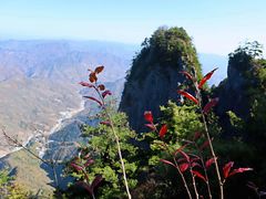 -秦岭天竺山景区