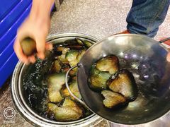-全乐鱼馆·淳牌有机鱼直营店