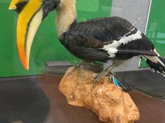 -昆明动物博物馆