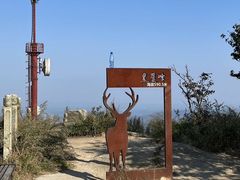 -长沙黑麋峰国家森林公园