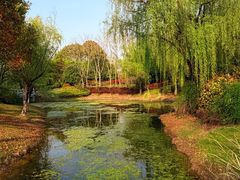 -尚贤河湿地