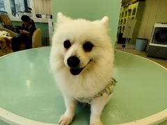 -怪兽屋·羊驼·猫咖·狗咖(俊华广场店)