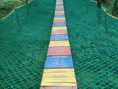 -原山国家森林公园