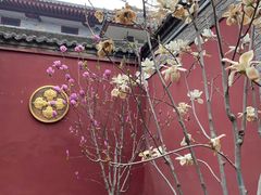 -西安市广仁寺