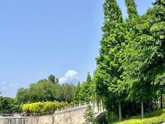 -眉山湿地公园(东坡区)