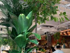 -the rug 飞毯 (朝阳公园店)