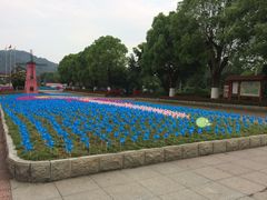 -东南花都花博园