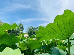 景观位-莫催咖啡