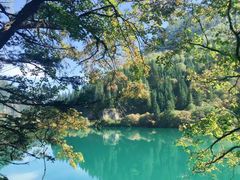 -九寨沟-树正沟