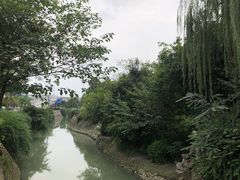 -神仙树公园