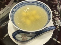 燕窝白果-大中鱼翅 Taitong Shark Fin