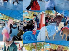-海合安武汉极地海洋公园