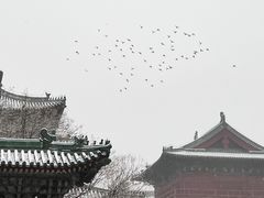 -隆兴寺