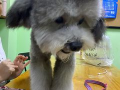 -圣宠动物医院·犬猫专科·影像中心·外科中心