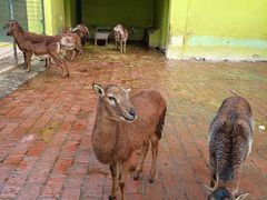 -荆州中山公园动物园