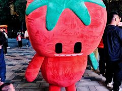 -龙湖杭州滨江天街