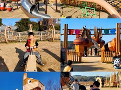 -天目湖涵田度假村