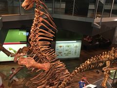 -墨尔本博物馆(Melbourne Museum)