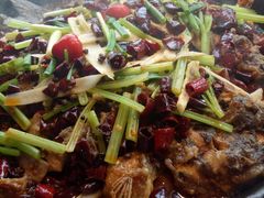 -老板恋上鱼(恒隆广场店)