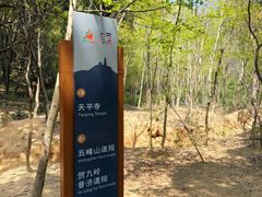 -灵岩山风景区