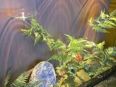 -江南足纪·影院足道·轻奢SPA(红山6979店)