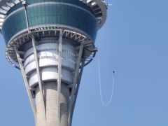 -澳门环岛游湾仔码头