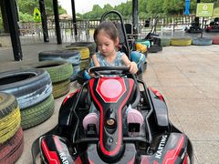 -合肥滨湖国家森林公园