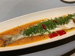 -兴隆·小隆台·温岭菜