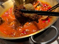 -小龙翻大江文化火锅(宽窄店)