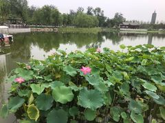 -西海子公园