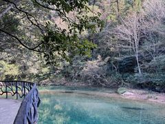 -龙湾潭国家森林公园