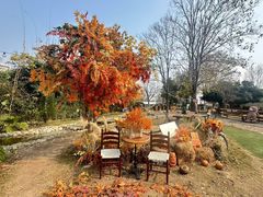 -HERRE·FARM 赫尔露营农场·团建聚会包场