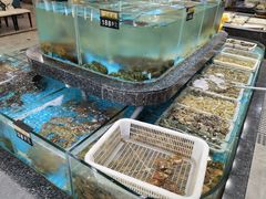 水产区-渔码头食府(蓬莱阁店)