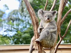 -费瑟代尔野生动物园