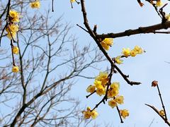 -白塘生态植物园