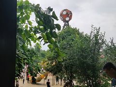 -枫香湖儿童公园