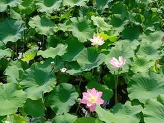 -贵州省植物园