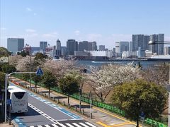 -台场海滨公园船码头