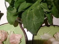 -一叶一世界·素食餐厅(锦华万达店)