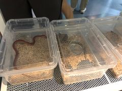 -乌龙爬宠部落(信和购物广场店)